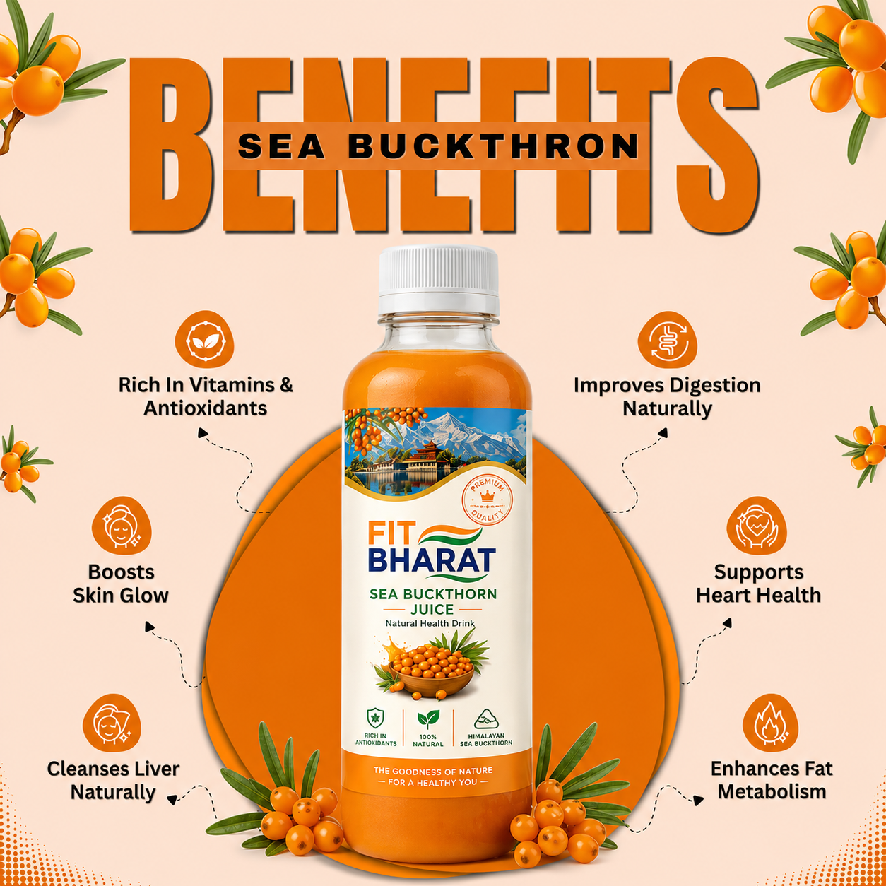 Fit Bharat Sea Buckthorn Juice (Pulp) 500ml